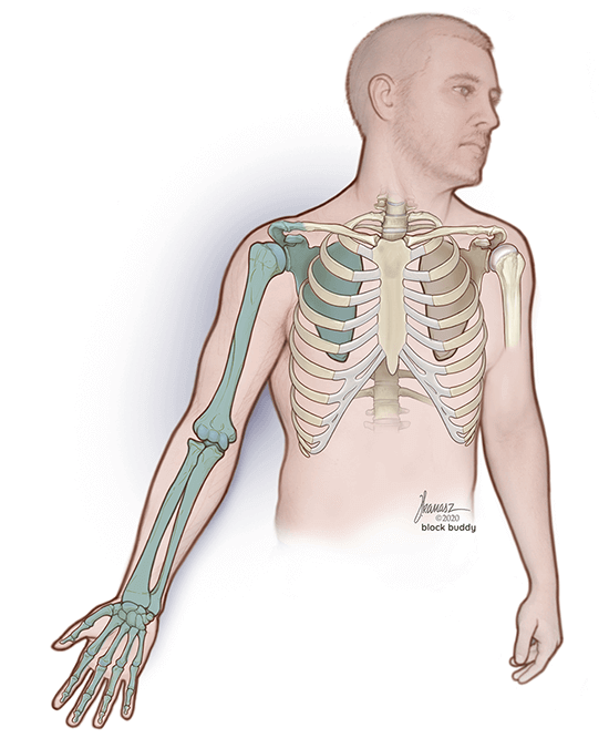 1b-Supraclavicular-block-bone-REVISED-SM Supraclavicular Block Shaded Area Skeletal Illustration